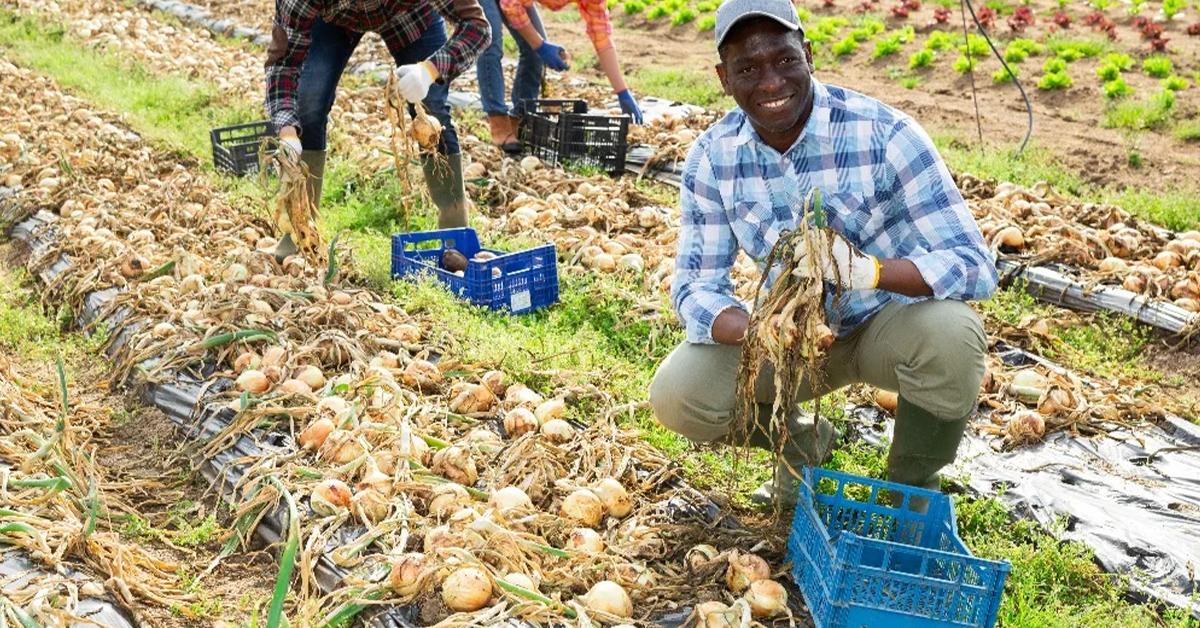 Agricultural Insurance